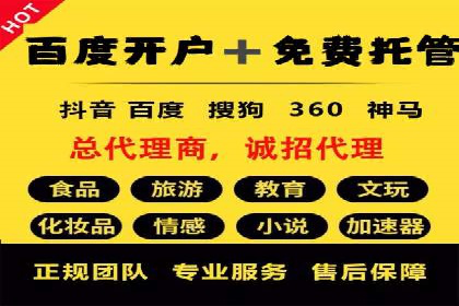 行业领先企业的SEM竞价代运营成功案例揭秘